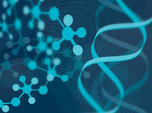 高齡妊娠中胚胎植入前遺傳學(xué)篩查的關(guān)鍵作用與數(shù)據(jù)處理技術(shù)